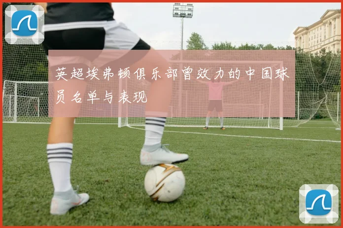 英超埃弗顿俱乐部曾效力的中国球员名单与表现