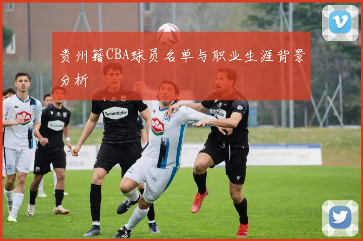 贵州籍CBA球员名单与职业生涯背景分析