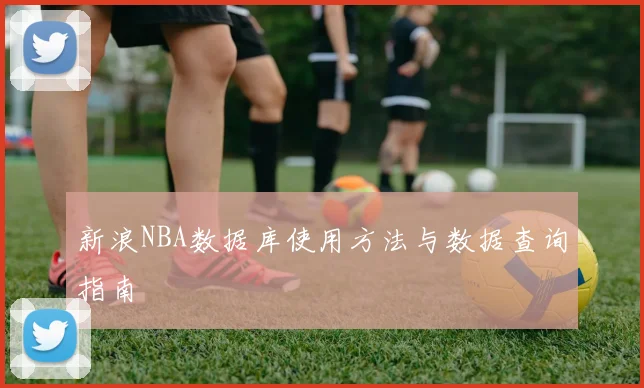 新浪NBA数据库使用方法与数据查询指南