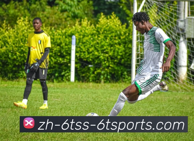 6T体育平台生态图