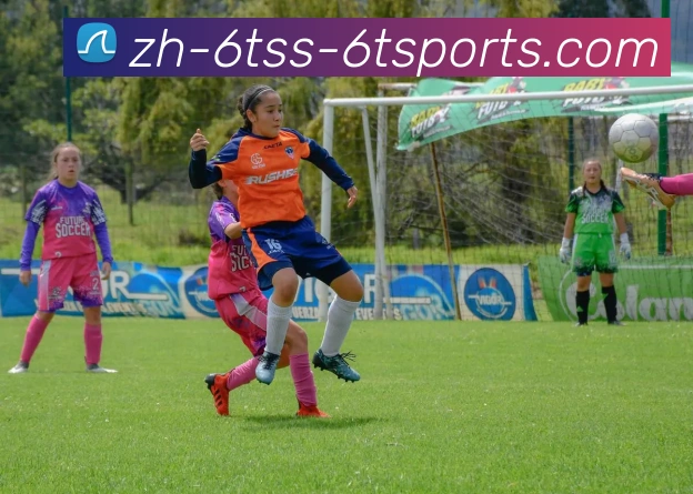 6T体育APP 封面图